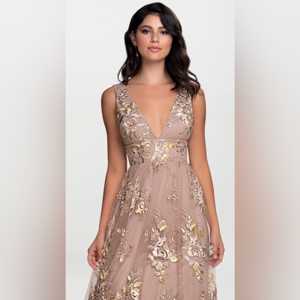 Azazie Blush Mark Romantic Adventure Embroidery
Tulle Maxi Dress - Picture 2 of 13